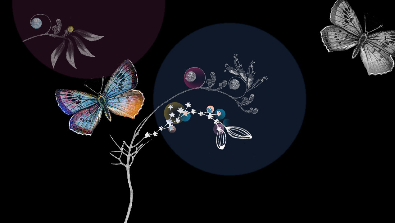 Regarding Gardens Carolina Melis