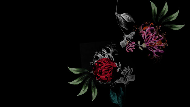 Regarding Gardens, Carolina Melis