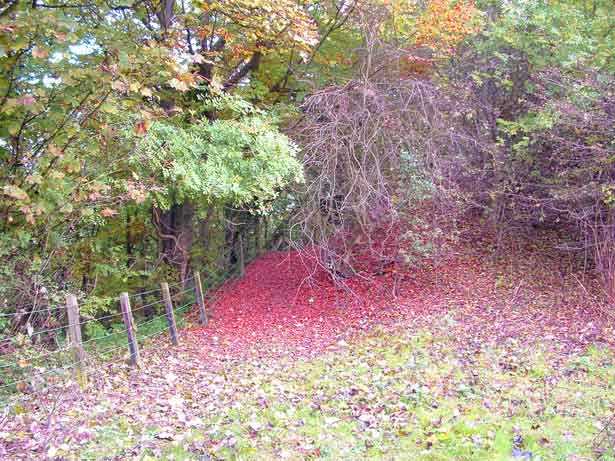 Severed, The Deracinater and The Isle, Simon Woolham