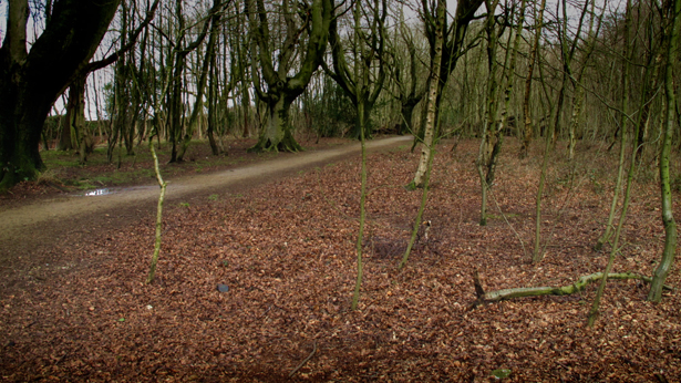 Stanmer, Brian McClave and Gavin Peacock