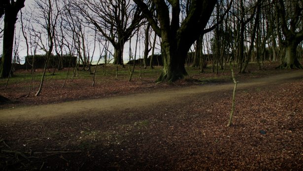 Stanmer, Brian McClave and Gavin Peacock