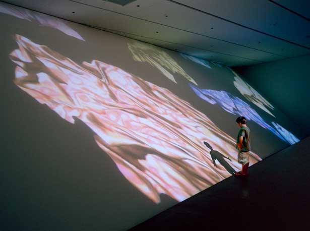 Rock Formation, Jennifer Steinkamp image © Robert Wedemeyer, courtesy Denver Art Museum, Denver, Colorado.