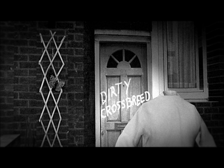 Minema Cinema: Love then First Fight, Tim Hope