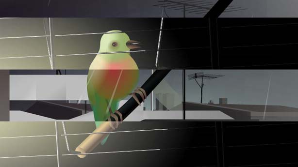 Time Tear, Sebastian Buerkner