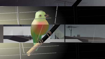 Time Tear, Sebastian Buerkner