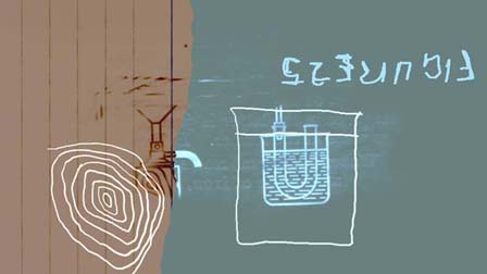 Tulips at Dawn, Rosie Pedlow