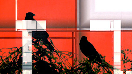 Without You, Tal Rosner