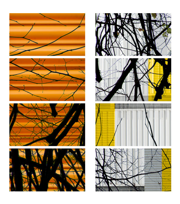 Without You, Tal Rosner