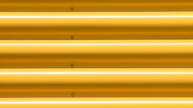 Without You, Tal Rosner