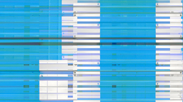 Without You, Tal Rosner