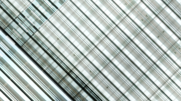 Without You, Tal Rosner