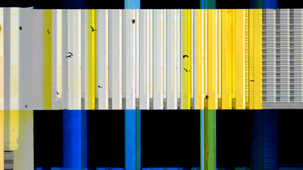 Without You, Tal Rosner